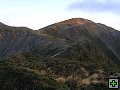 thn_Ruahine - Sunrise Hut 019.jpg